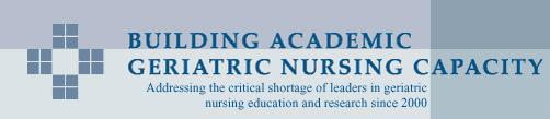 Building Academic Geriatric Nursing Capacity